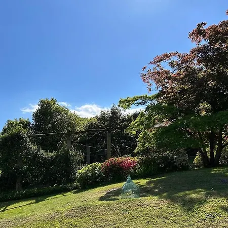 Casa Luciana Apartman