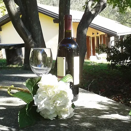 Casa Luciana Daire *