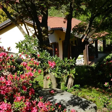 Casa Luciana アパート メルゴッツォ